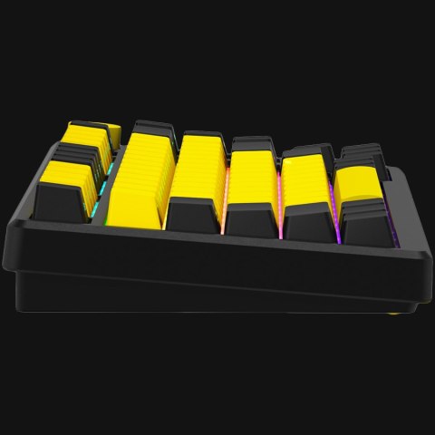 LORGAR Gaming Keyboard KBA4175 Advanced Wired 75% Yellow EN
