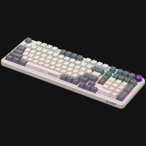 Wired mechanical gaming keyboard Advanced, 101 keys, linear Lorgar Toxic Purple switches, Hot Swap, Gasket mount, straight braid