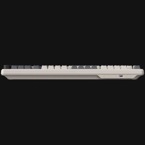 Wired mechanical gaming keyboard Advanced, 101 keys, linear Lorgar Toxic Purple switches, Hot Swap, Gasket mount, straight braid