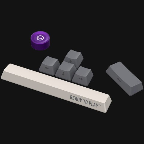 Wired mechanical gaming keyboard Advanced, 101 keys, linear Lorgar Toxic Purple switches, Hot Swap, Gasket mount, straight braid