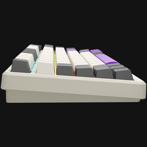 Wired mechanical gaming keyboard Advanced, 82 keys, linear Lorgar Toxic Purple switches, Hot Swap, Gasket mount, straight braid 
