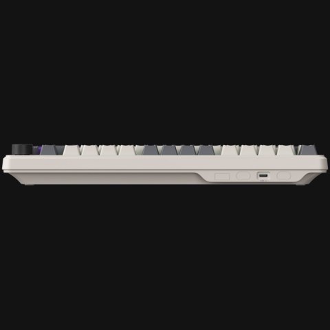 Wired mechanical gaming keyboard Advanced, 82 keys, linear Lorgar Toxic Purple switches, Hot Swap, Gasket mount, straight braid 